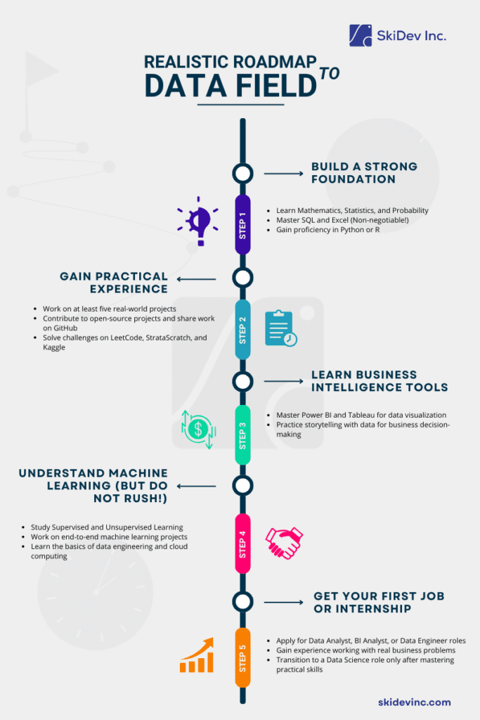 A Realistic Roadmap to Enter the Data Field